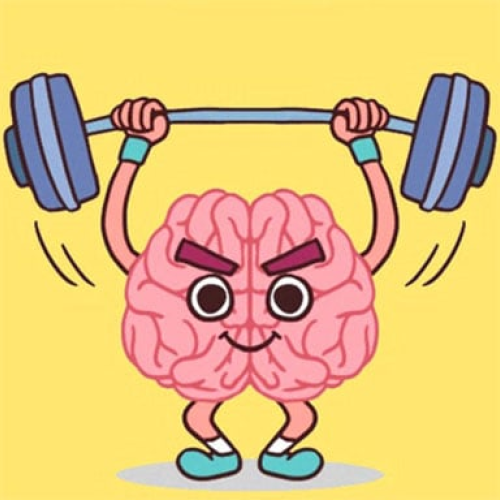 Perfect Brain 3D Puzzle